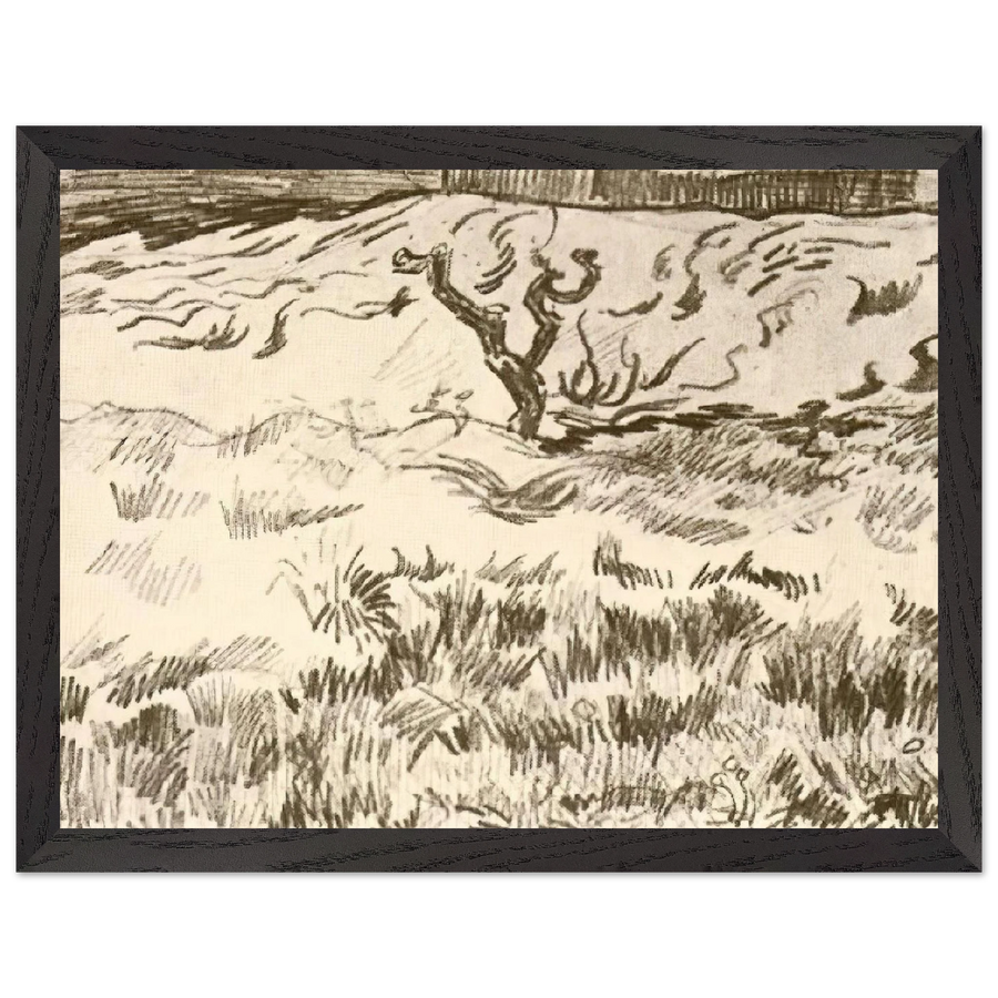 Field with Bare Tree by Vincent van Gogh — Framed art print at Zephyeer