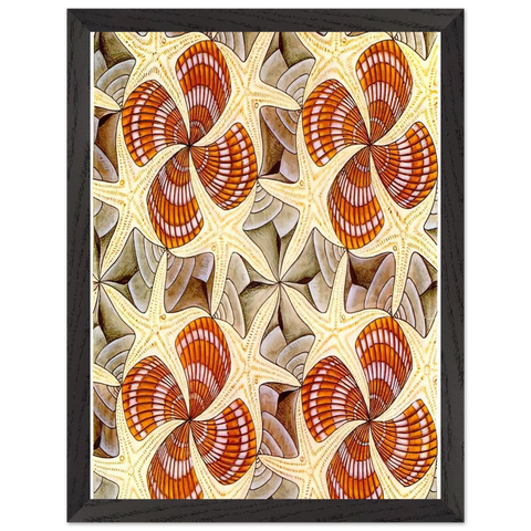 SHELLS AND STARFISH by MC Escher — Framed art print at Zephyeer
