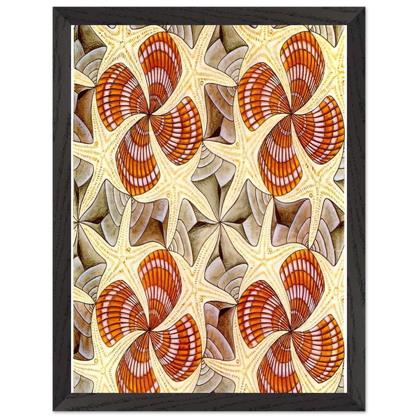 SHELLS AND STARFISH by MC Escher — Framed art print at Zephyeer