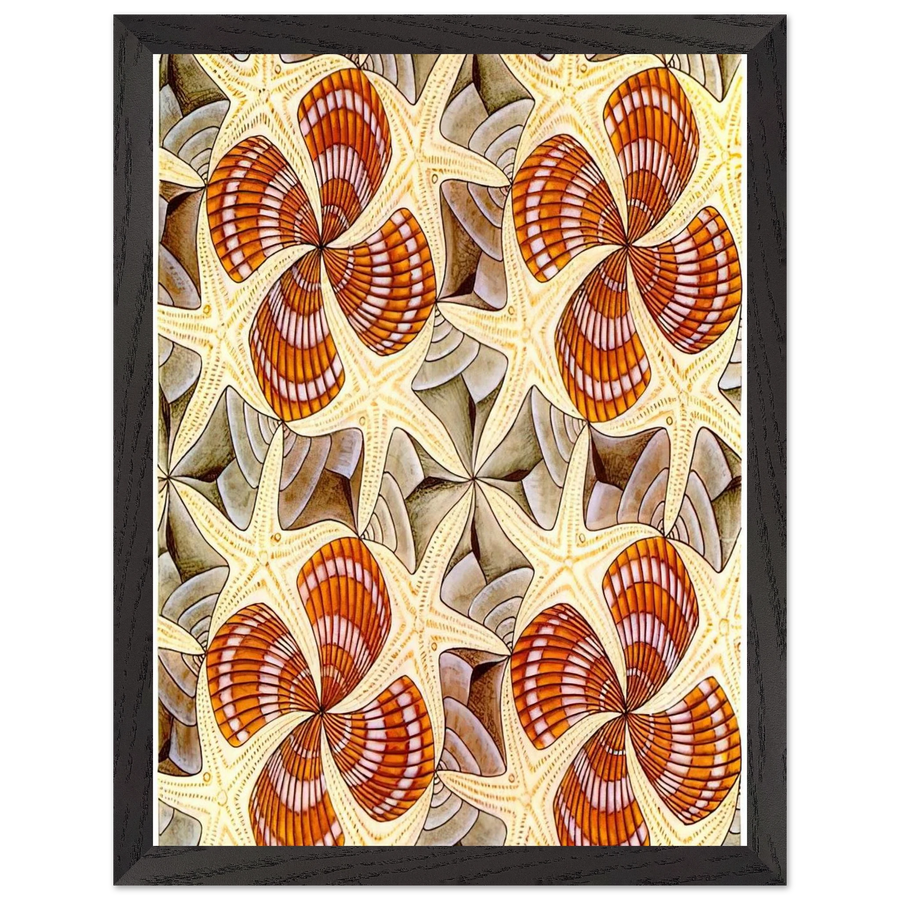 SHELLS AND STARFISH by MC Escher — Framed art print at Zephyeer