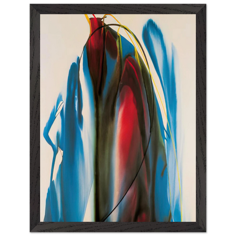Phenomena Waiting Gables by Paul Jenkins — Framed art print at Zephyeer