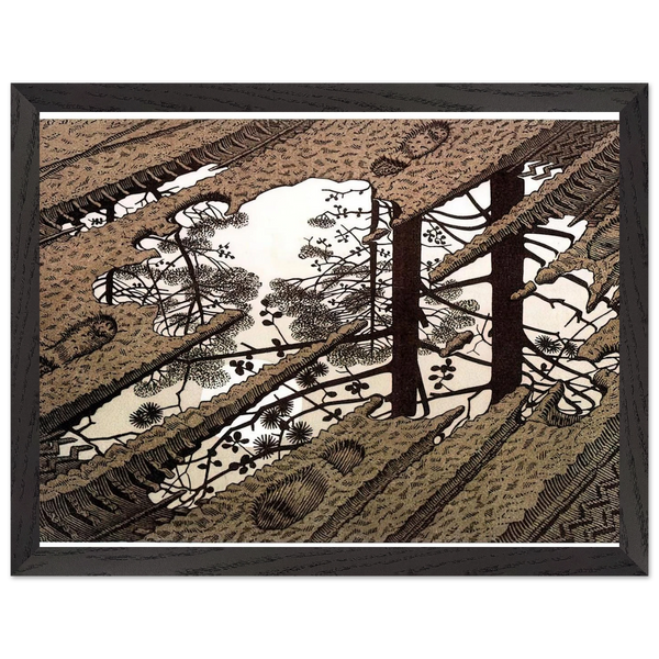 PUDDLE by MC Escher — Framed art print at Zephyeer