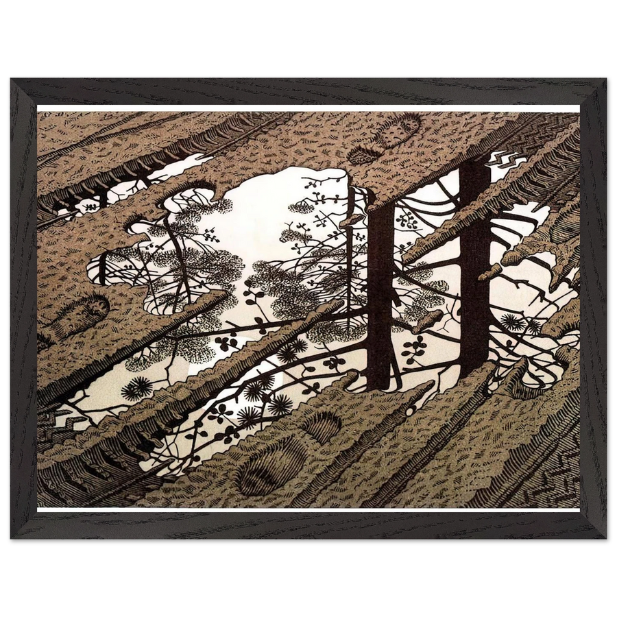 PUDDLE by MC Escher — Framed art print at Zephyeer
