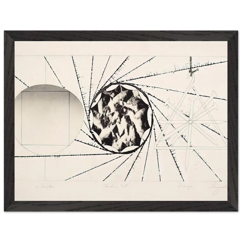 Sunglasses - Landing Net - Triangle by James Rosenquist — Framed art print at Zephyeer