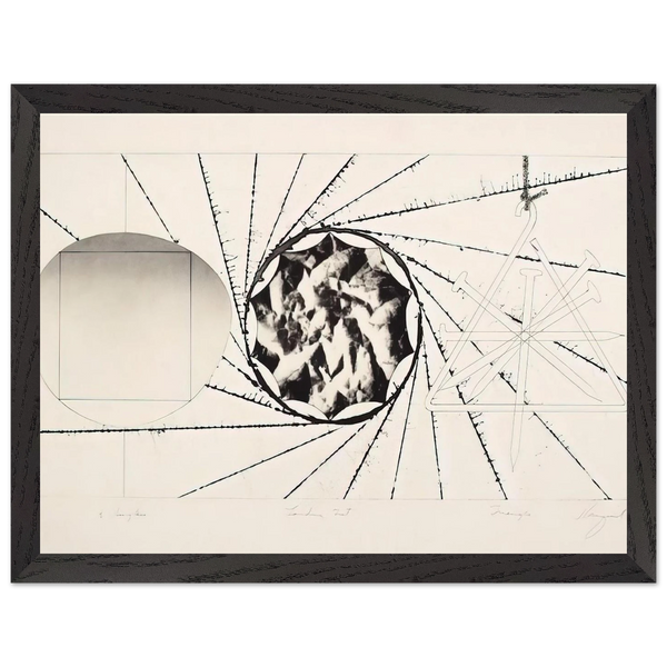 Sunglasses - Landing Net - Triangle by James Rosenquist — Framed art print at Zephyeer