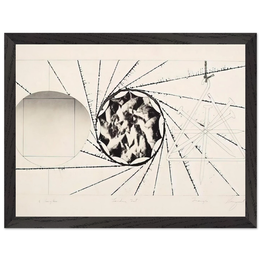 Sunglasses - Landing Net - Triangle by James Rosenquist — Framed art print at Zephyeer