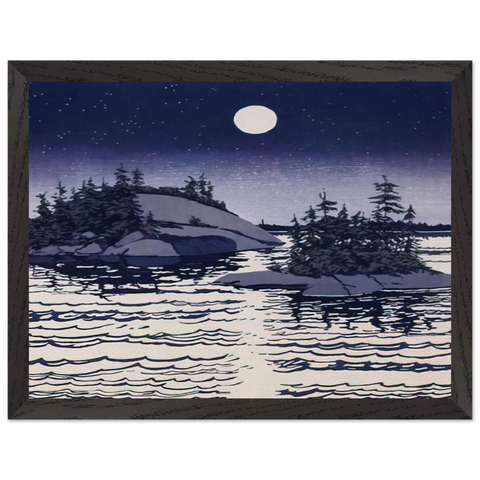 Islands Allagash - 1990 by Neil Welliver — Framed art print at Zephyeer