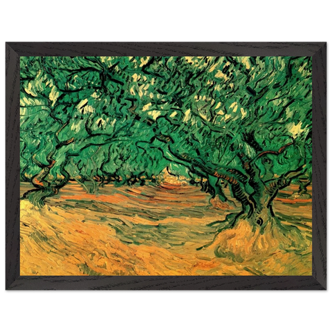 Olive Trees by Vincent van Gogh — Framed art print at Zephyeer