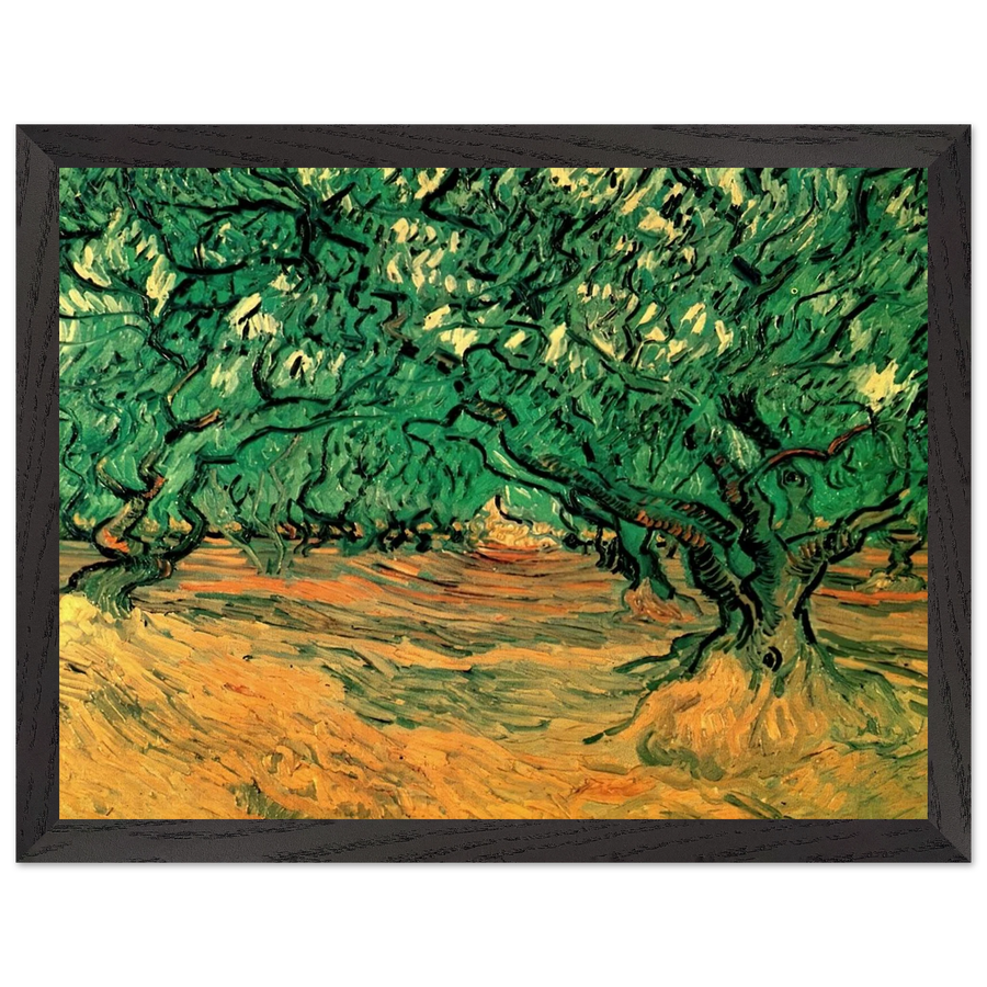 Olive Trees by Vincent van Gogh — Framed art print at Zephyeer