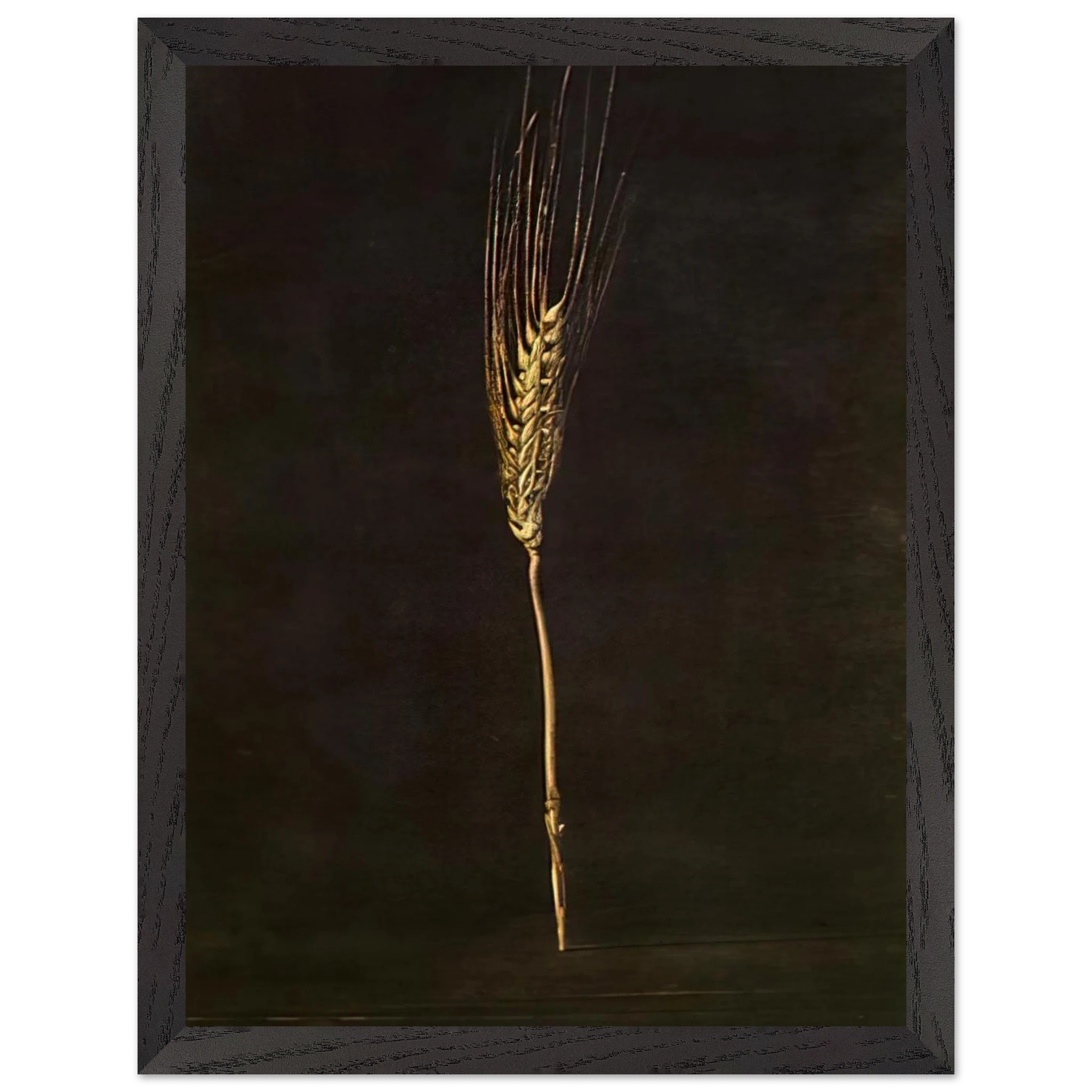 e52a0ce2-5d06-4ae9-acfc-98bb89a516d0