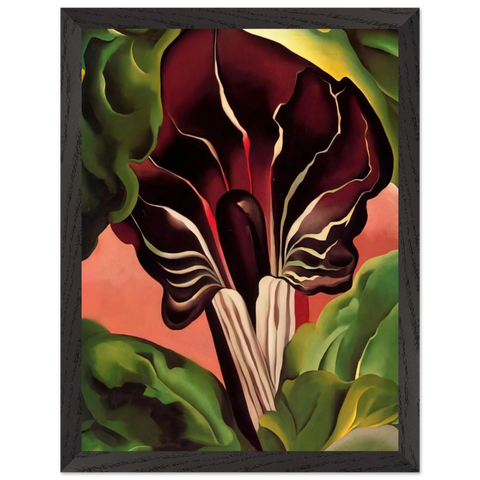 Jack-in-the-Pulpit II by Georgia O'Keeffe — Framed art print at Zephyeer