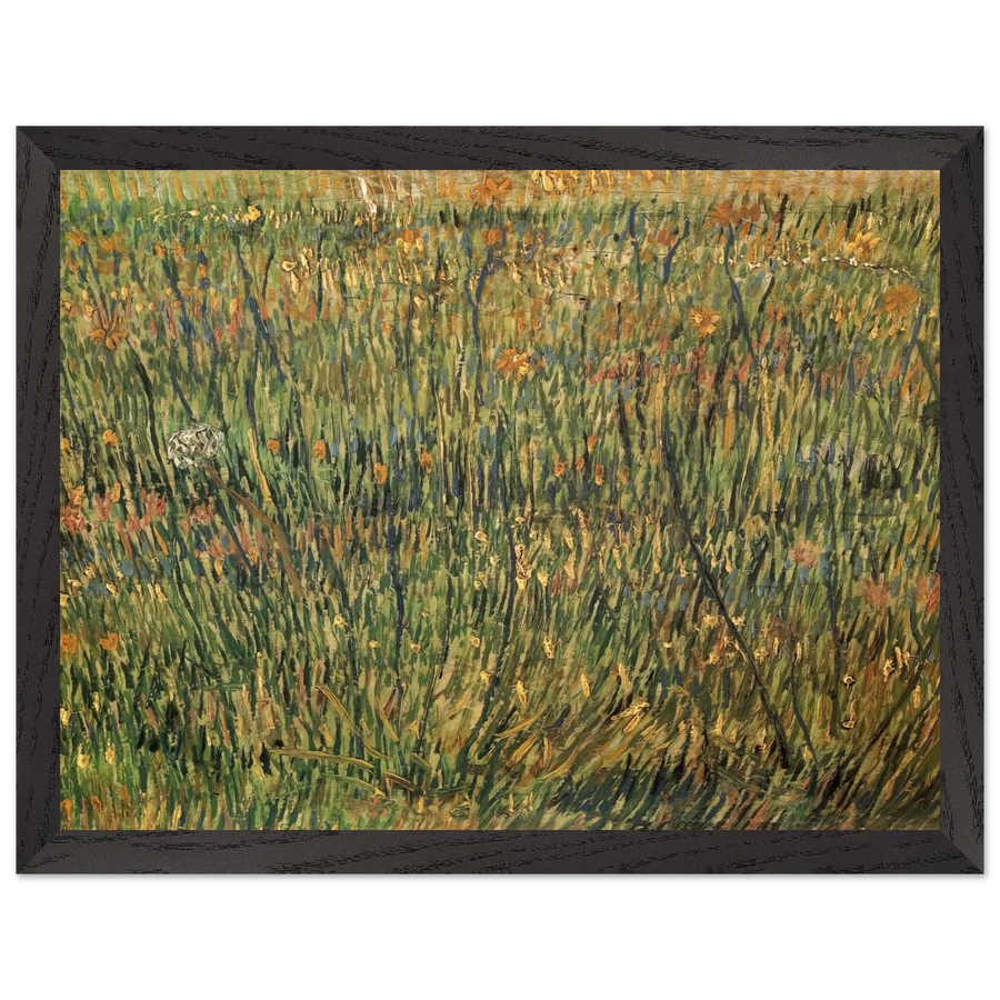 Pasture in Bloom by Vincent van Gogh — Framed art print at Zephyeer