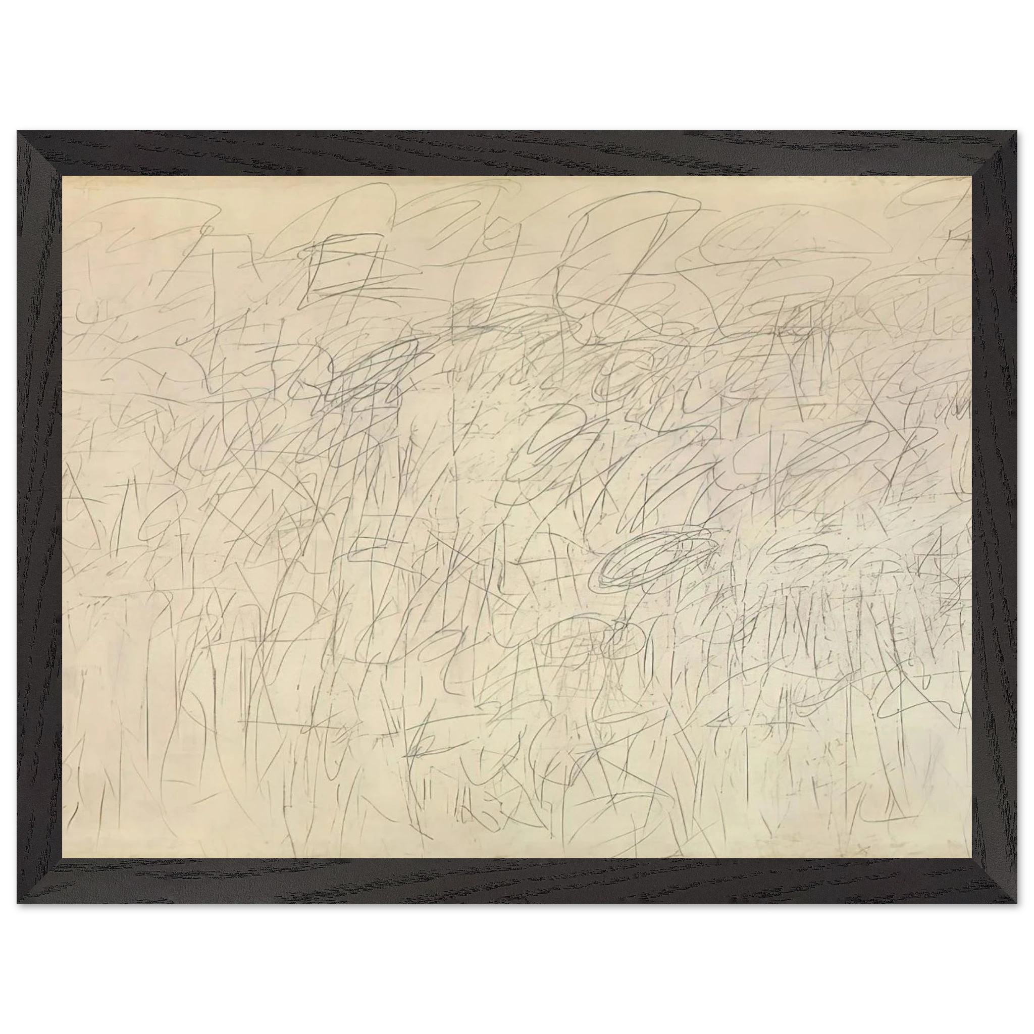 e871f1a8-ef7f-49ef-8b46-04911a26c341