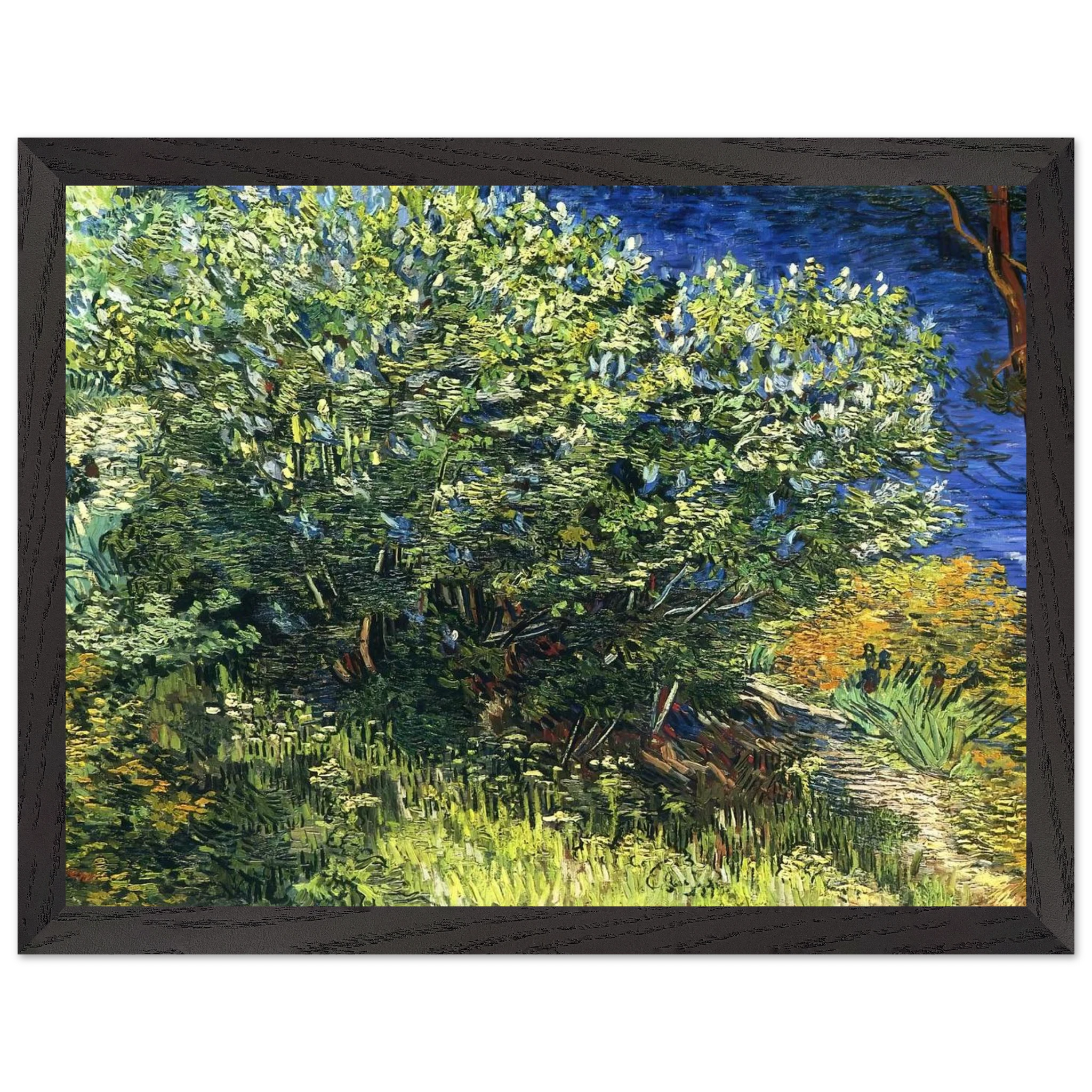 e8cd8b8d-5226-49a1-9f40-1ef87e70204d