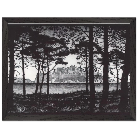 PINETA OF CALVI CORSICA by MC Escher — Framed art print at Zephyeer
