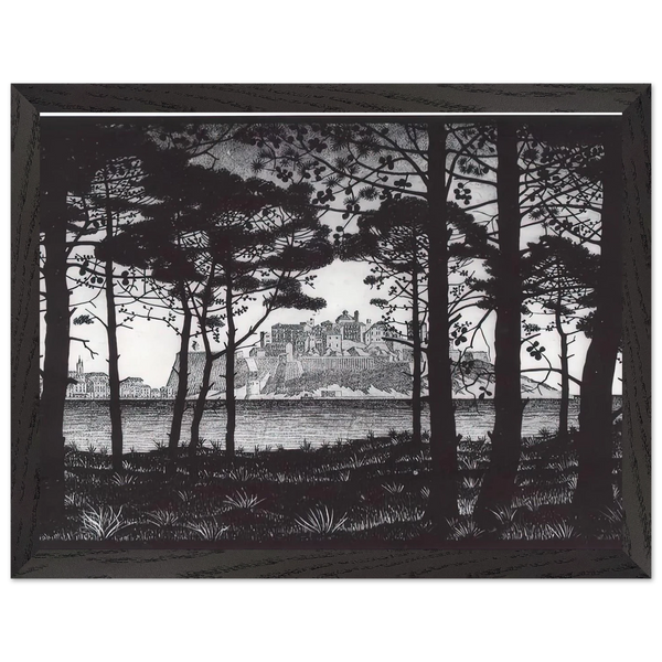 PINETA OF CALVI CORSICA by MC Escher — Framed art print at Zephyeer