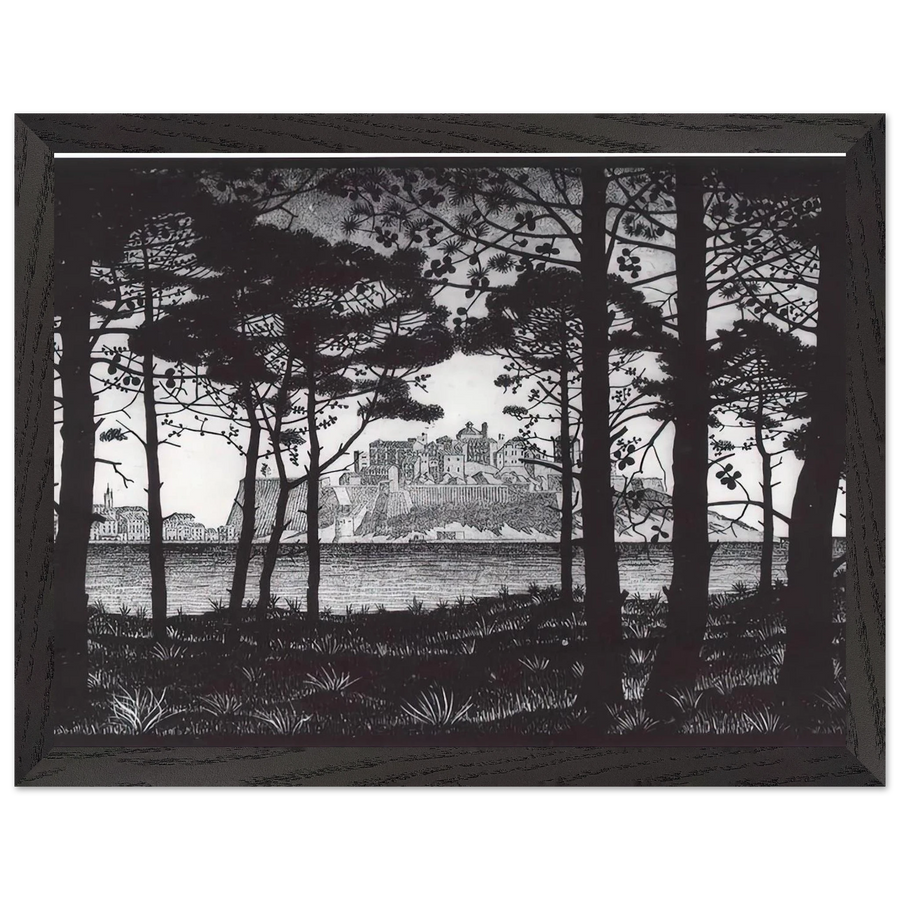 PINETA OF CALVI CORSICA by MC Escher — Framed art print at Zephyeer