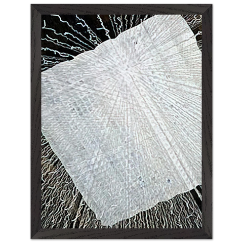 CLOUD SERIES V 1978 by Lenore Tawney — Framed art print at Zephyeer