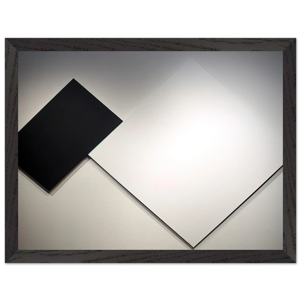 White Black by Ellsworth Kelly — Framed art print at Zephyeer