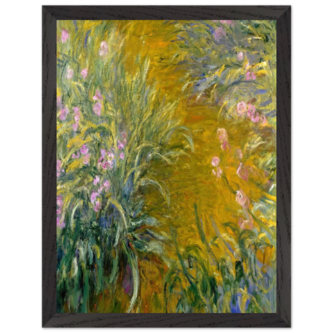 Path through the Irises 01 by Claude Monet — Framed art print at Zephyeer