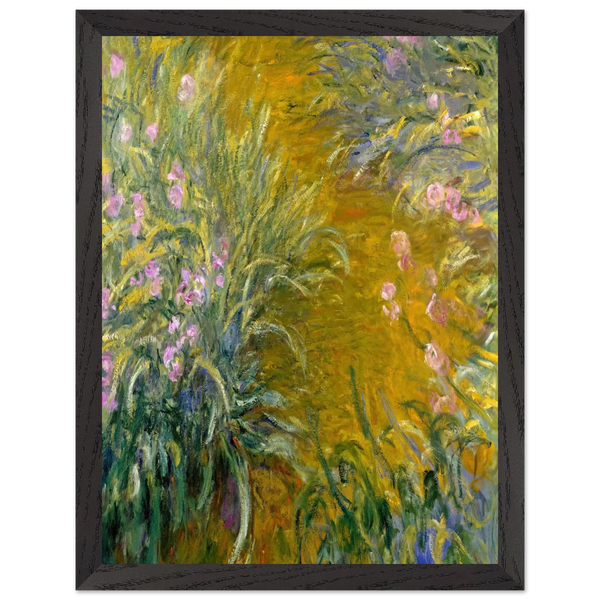 Path through the Irises 01 by Claude Monet — Framed art print at Zephyeer