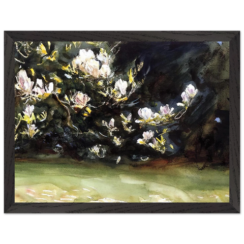 Magnolias by John Singer Sargent — Framed art print at Zephyeer