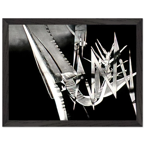 The Prickly Dark by James Rosenquist — Framed art print at Zephyeer