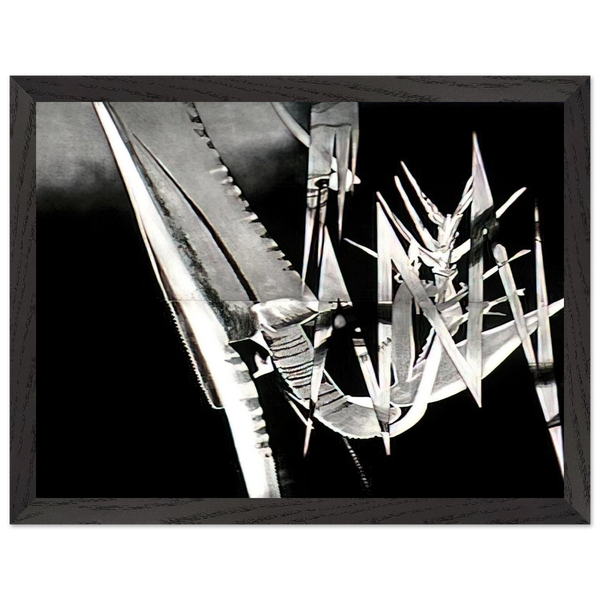 The Prickly Dark by James Rosenquist — Framed art print at Zephyeer