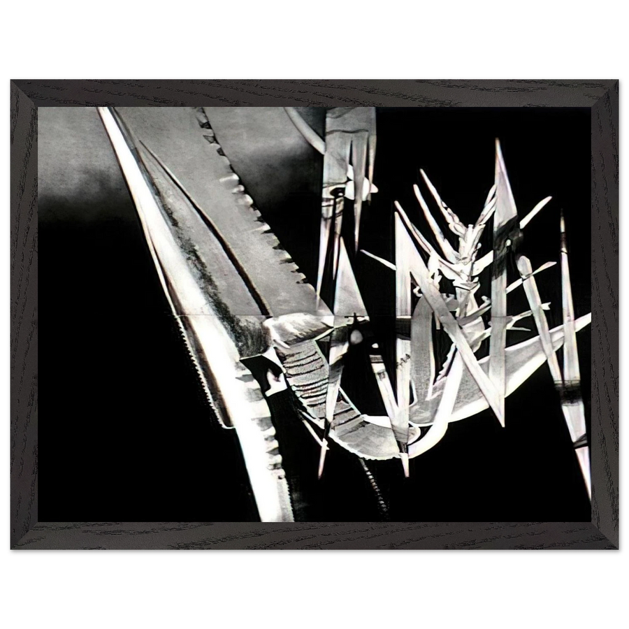 The Prickly Dark by James Rosenquist — Framed art print at Zephyeer