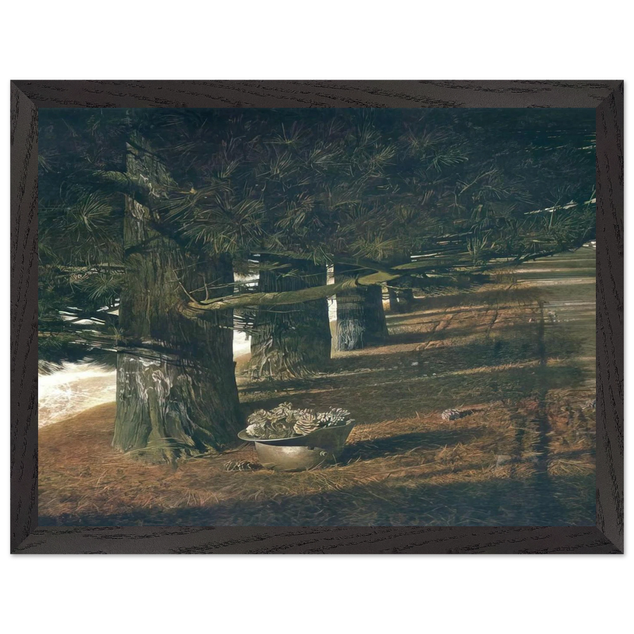 PINE BARON by Andrew Wyeth — Framed art print at Zephyeer