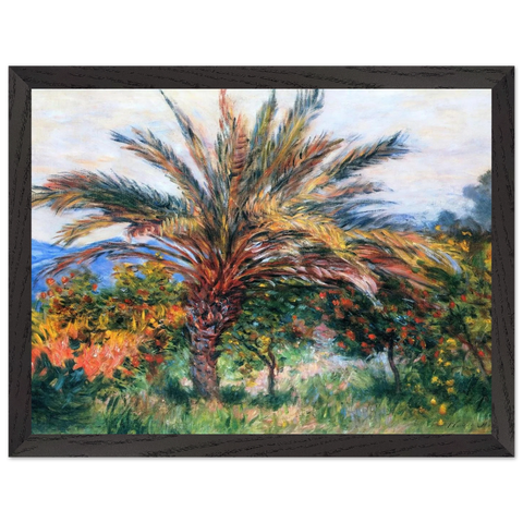 Palm Tree at Bordighera by Claude Monet — Framed art print at Zephyeer