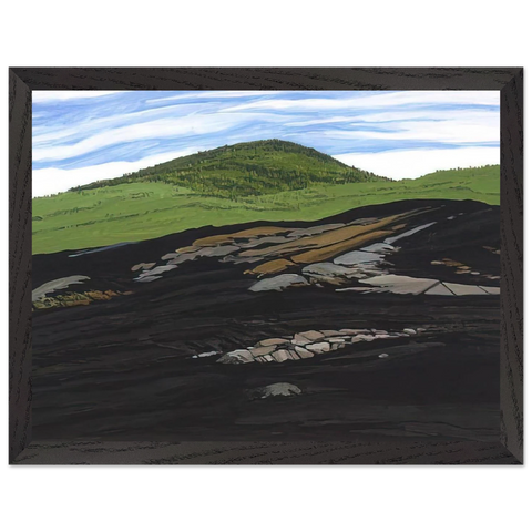 Blueberry Burn Morey's Hill - 1997 by Neil Welliver — Framed art print at Zephyeer
