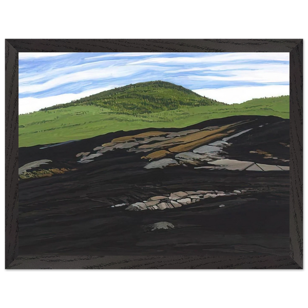 Blueberry Burn Morey's Hill - 1997 by Neil Welliver — Framed art print at Zephyeer