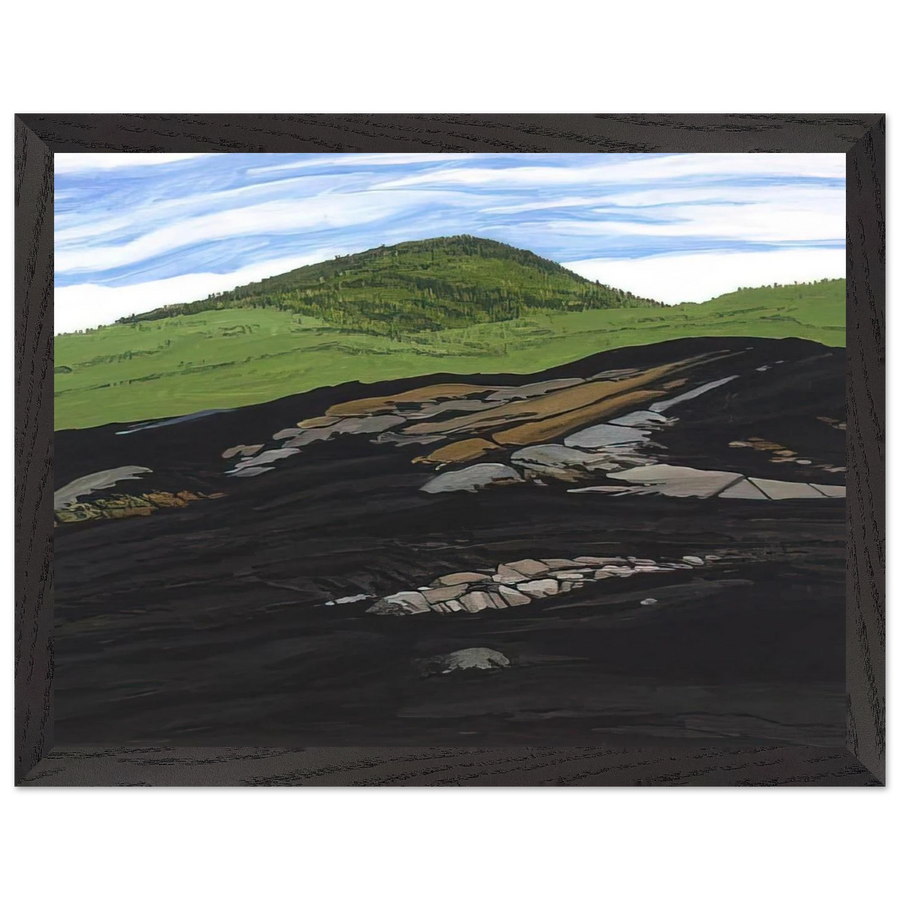 Blueberry Burn Morey's Hill - 1997 by Neil Welliver — Framed art print at Zephyeer