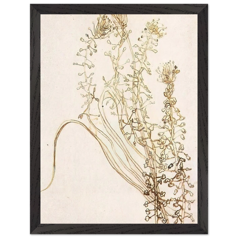 Blossoming Branches by Vincent van Gogh — Framed art print at Zephyeer