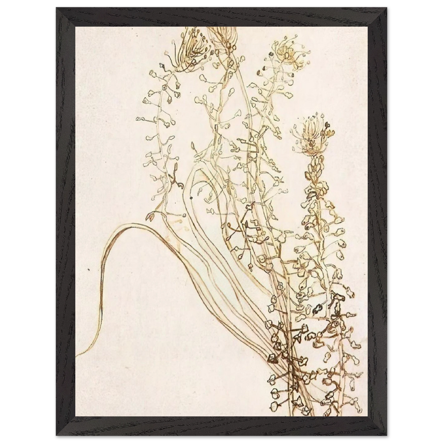 Blossoming Branches by Vincent van Gogh — Framed art print at Zephyeer
