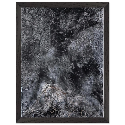 THE SECRET LIFE OF PLANTS FOR ROBERT FLUDD 2014 by Anselm Kiefer — Framed art print at Zephyeer