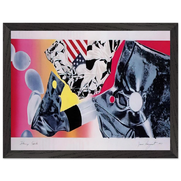 Flamingo Capsule by James Rosenquist — Framed art print at Zephyeer