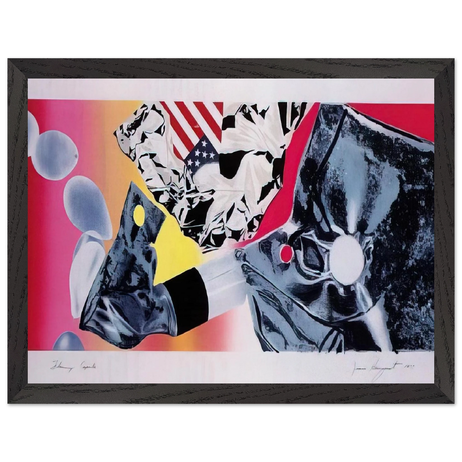 Flamingo Capsule by James Rosenquist — Framed art print at Zephyeer