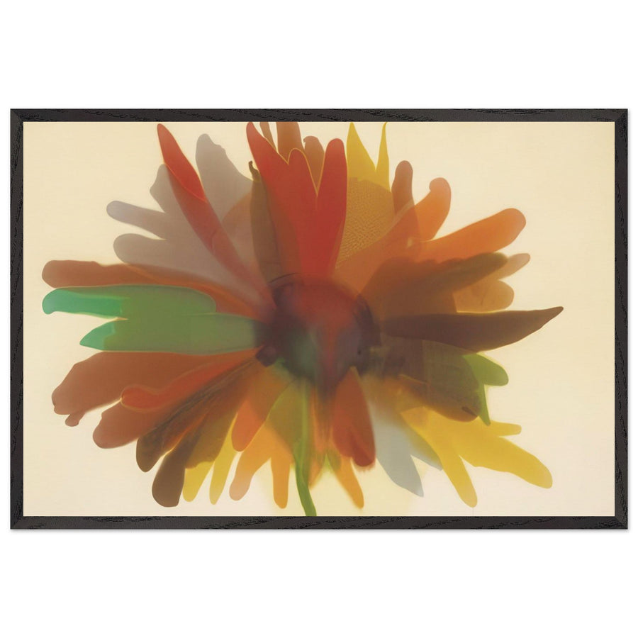 Spawn (1960) by Morris Louis, framed poster